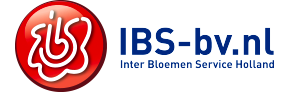IBS B.V.
